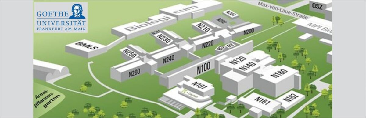 Energieeinsparkonzept im Rahmen einer Betriebsoptimierung für die Liegenschaft Biozentrum und Chemische Institute am Standort Riedberg der Goethe-Universität Frankfurt am Main