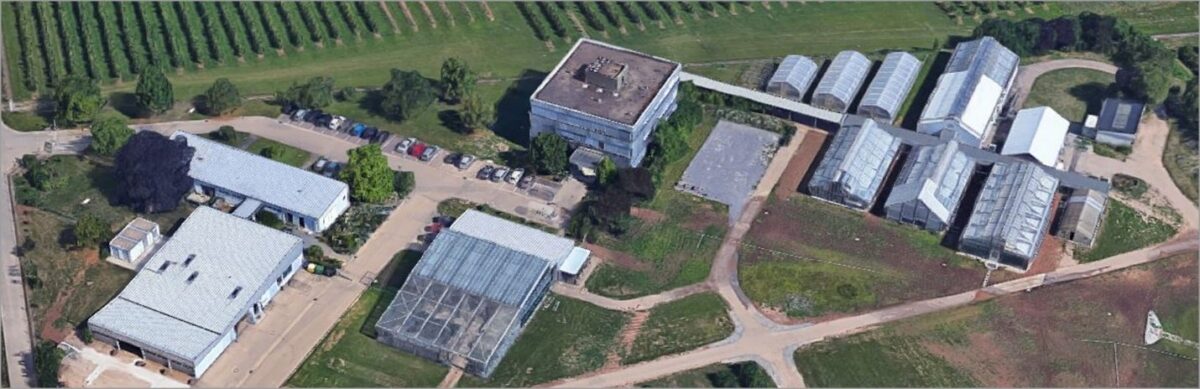 Liegenschaftsenergiekonzept Julius-Kühn-Institut Dossenheim
